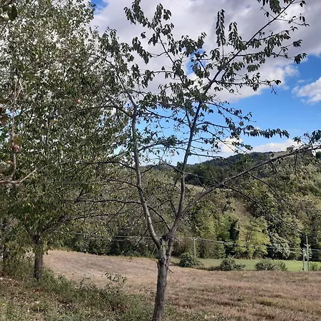 Guest house Rocca Montefortino